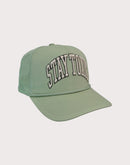 GENERAL RELATIVITY COMPANY LLC Stay Toxic Trucker-Sage