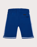 Pro Standard Los Angeles Dodgers Pick Stitch Shorts