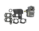 Briggs & Stratton Replacement Carburetor 790120 APE Partz AP10106