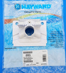 Hayward Access Cover Assembly | AXV603