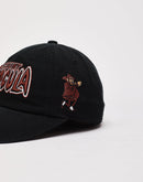 American Needle Count Chocula Ballpark Cap
