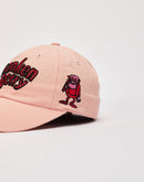 American Needle Franken Berry Ballpark Cap