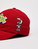 American Needle Trix Ballpark Cap