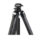Really Right Stuff Ascend 14L Carbon Fiber Travel Tripod w/Ballhead