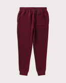 Lrg Creative Era Burgundy Jogger