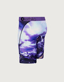 Ethika Two Birds Boxer Briefs