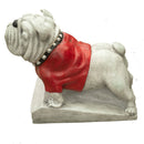 Henri Studio, English Bulldog W/Red Sweater