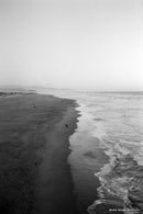 CineStill Film BwXX Double-X Black and White Negative Film (35mm Roll Film, 36 Exposures)