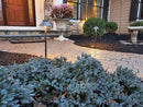 CPRO CP-P100 Traditional Path Lights
