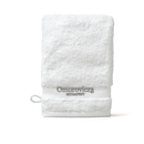 Cleansing Mitt