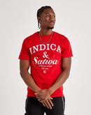 Crooks & Castles Indica & Sativa Tee