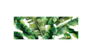 Green Leaves 19.6 In. X 55 In. Anti-Fatigue Kitchen Runner Mat