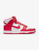 Nike Dunk Hi