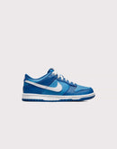 Nike Dunk Low Grade-School