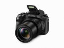 Panasonic Lumix DMC-FZ2500 Digital Camera