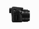 Panasonic Lumix DMC-FZ2500 Digital Camera