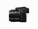 Panasonic Lumix DMC-FZ2500 Digital Camera