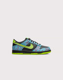 Nike Dunk Low SE Grade-School