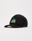 Diamond Supply Company Kush Logo Hat