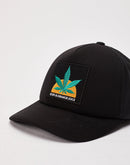 Diamond Supply Company Kush Logo Hat