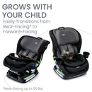 Poplar 2 in 1 Convertible Car Seat - Stone Onyx