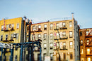 Lensbaby Composer Pro II with Edge 50 Optic Canon EF