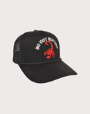 GENERAL RELATIVITY COMPANY LLC Do Not Disturb Trucker Black Snapback