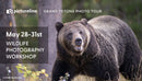 "Capture The Wild" Grand Teton National Park: Wildlife—May 28-31st, 2026