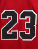Jordan HBR Baseball Jersey