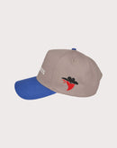 REFERENCE CO . Stay Dangerous Grey Snapback