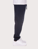 Akoo Denim Slick Blue Pants