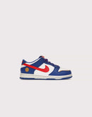 Nike Dunk Low Next Nature Pre-School