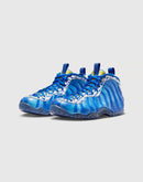 Nike Air Foamposite One 'Doernbecher'