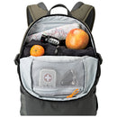 Lowepro Flipside Trek BP 450 AW Backpack (Gray/Dark Green)