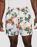 Nike Club Flow Mesh Shorts