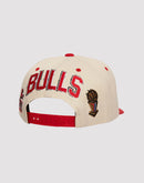 Mitchell & Ness Chicago Bulls NBA Defined Snapback Hat