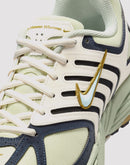 Nike Air Pegasus 2005