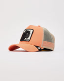 Goorin Bros The Panther Trucker Hat