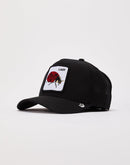 Goorin Bros Lady Bug Trucker Hat