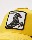 Goorin Bros The Stallion Trucker Hat
