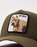 Goorin Bros Pitbull Trucker Hat