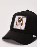 Goorin Bros Butch Trucker Hat