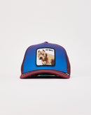Goorin Bros Pitbull Trucker Hat