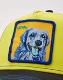 Goorin Bros Doggy Trip Trucker Hat