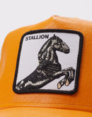 Goorin Bros Horse Trucker Hat