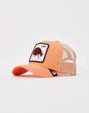 Goorin Bros Little Lady Trucker Hat