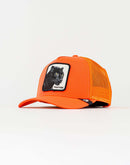 Goorin Bros Black Panther Trucker Hat