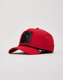 Goorin Bros Panther 100 Hat