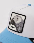 Goorin Bros The Word Parrot Trucker Hat