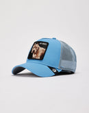 Goorin Bros The Pitbull Trucker Hat